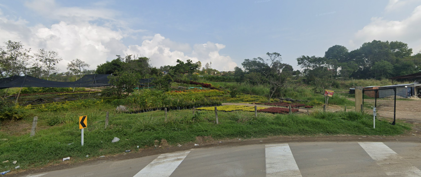 Bienvenidos al Vivero